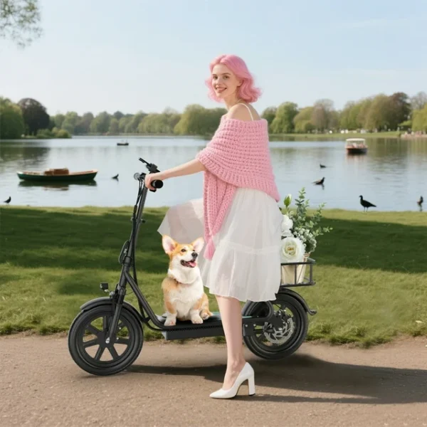 Buy electric scooter with seat - Image 3